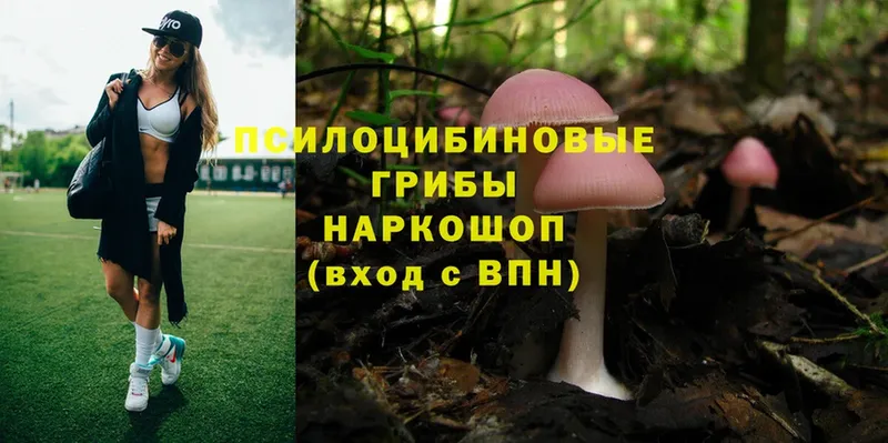 Галлюциногенные грибы Magic Shrooms  где купить наркоту  Горячий Ключ 